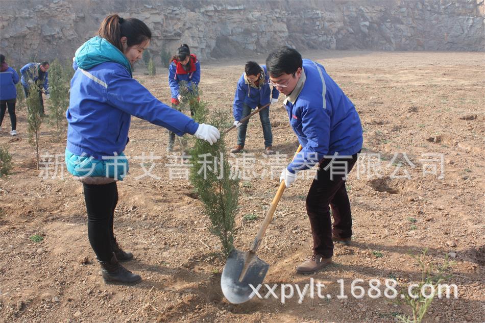 艾普利鳳凰山植樹，為美麗新鄉(xiāng)添新綠(圖2)